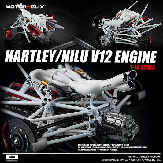 1/18 MH Motorhelix Hartley Nilu27 V12 Engine Model